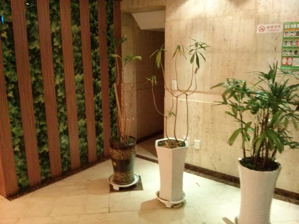 Apsan Business Hotel Daegu Exterior photo